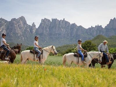 Team offsite afternoon activity high ropes adventure